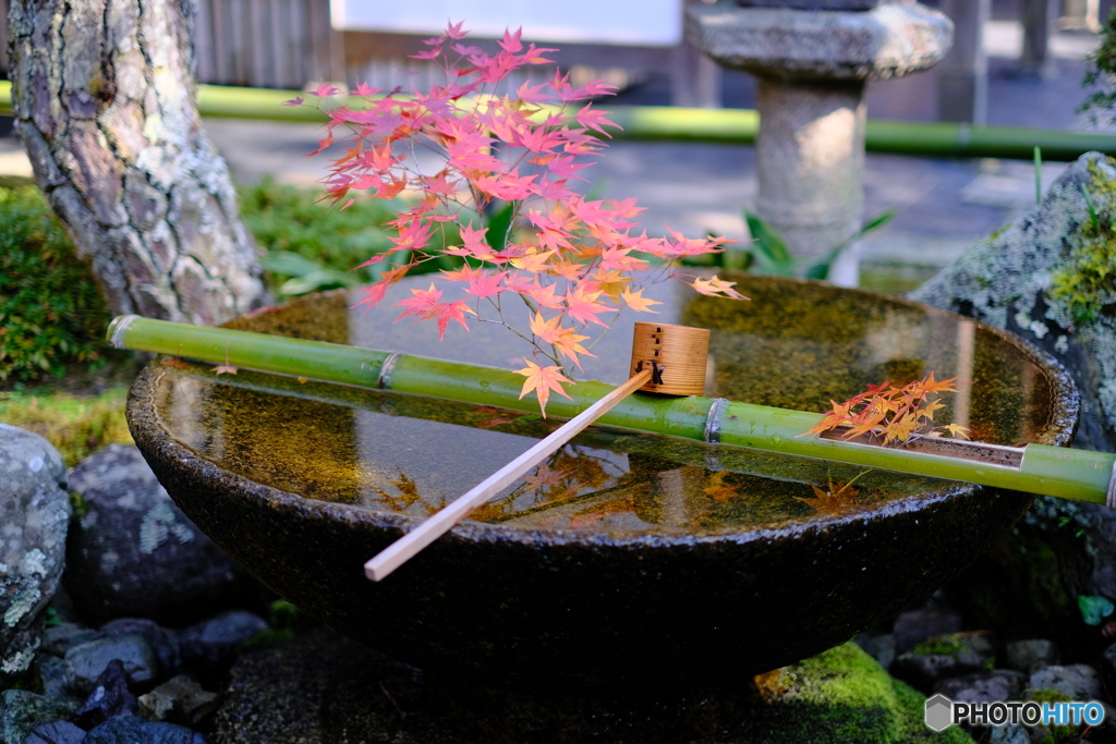 圓光寺の水琴窟