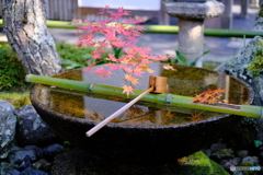 圓光寺の水琴窟