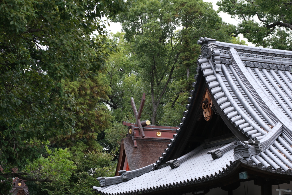 泉穴師神社