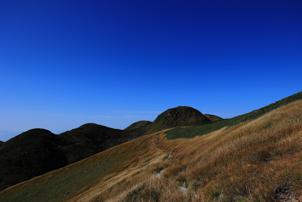 登山道