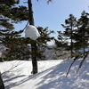 巨大なカマキリの巣