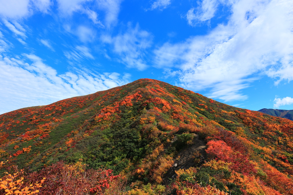 左右対称まであと一歩