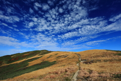 美しい登山道