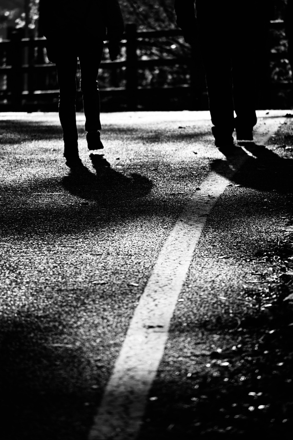散歩道