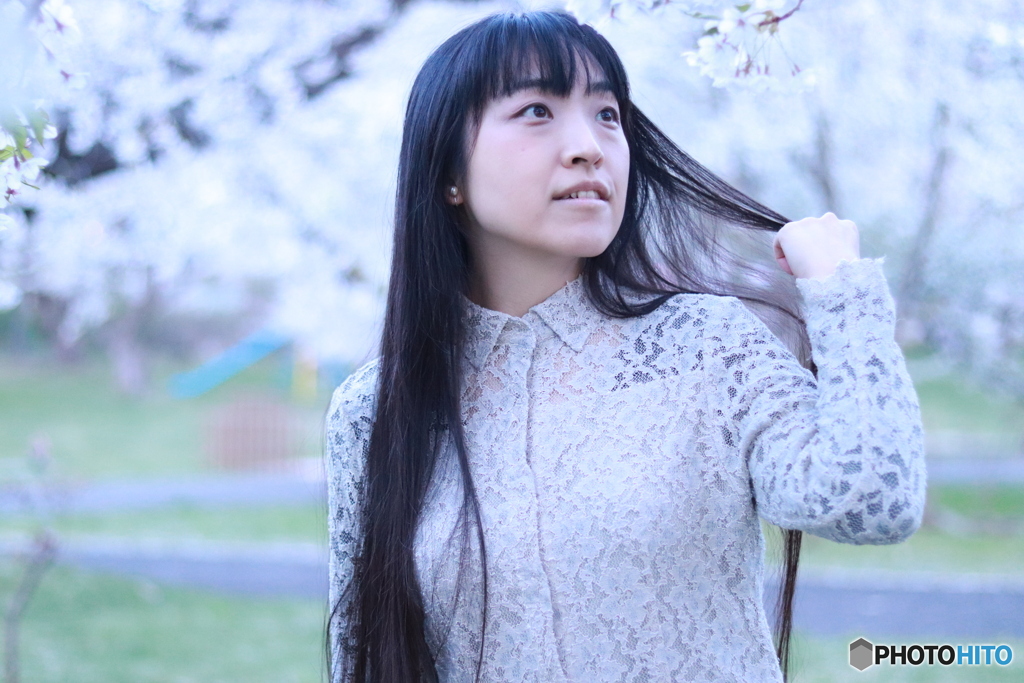 桜