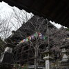 長谷寺大悲閣
