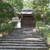 桜散る龍安寺より