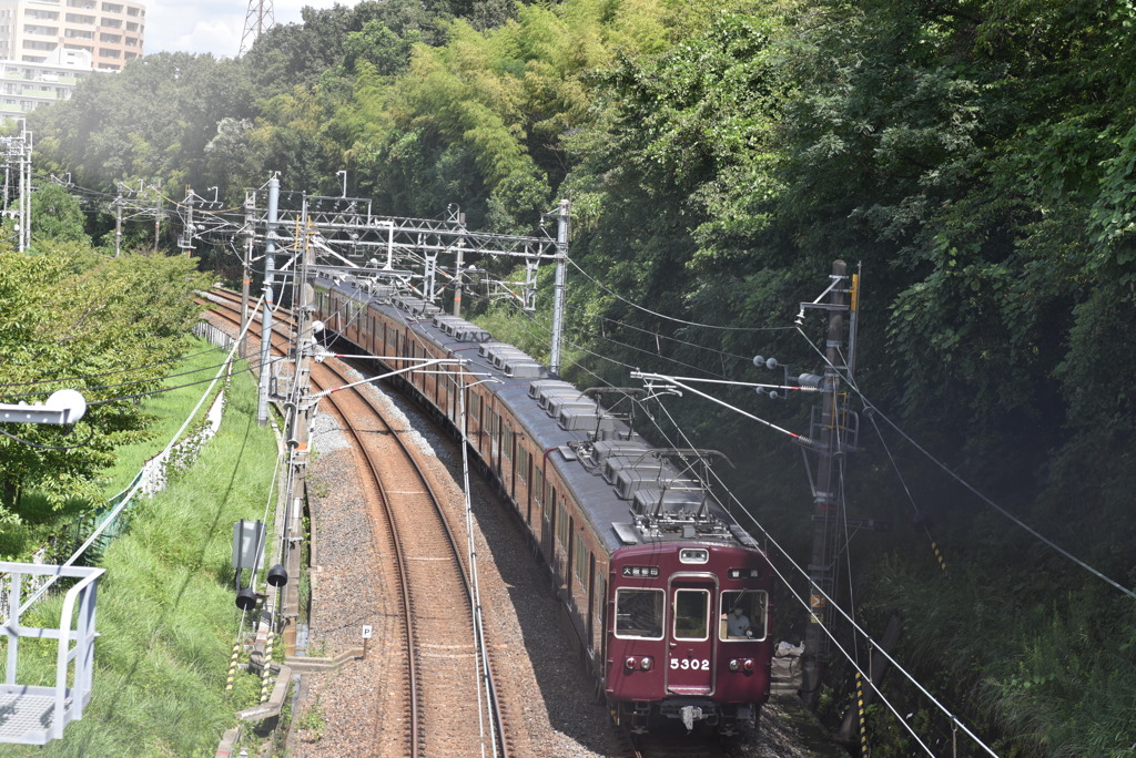 よく乗った電車