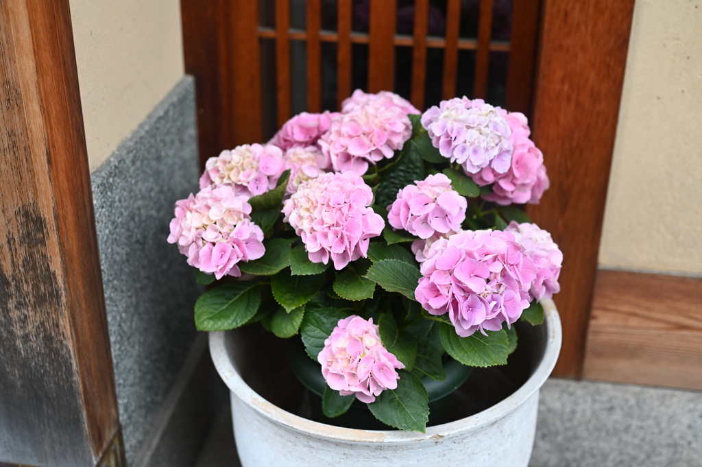 季節が近づいてます