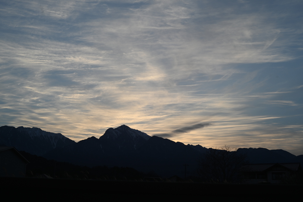 早春の夕光