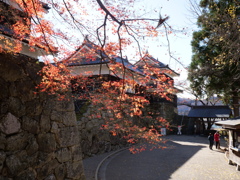 上田城と紅葉色づく