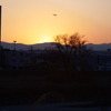 夕日に向かって
