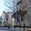 シンフォニー前