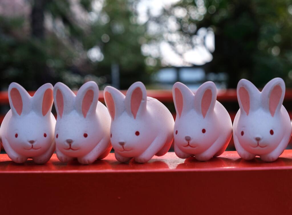 岡崎神社のウサギたち