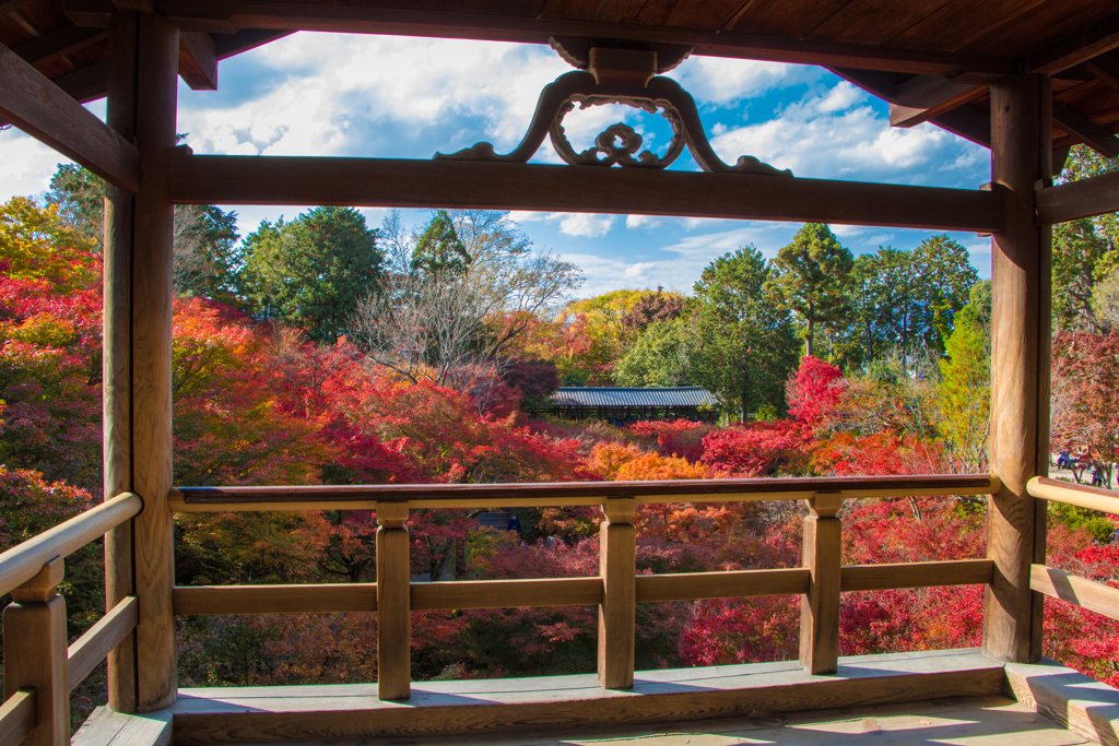 東福寺 通天橋から