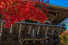 秋の善峯寺