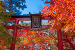 鍬山神社 2020秋