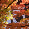 秋の東福寺