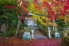 嵯峨野の秋