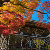 秋色の善峯寺