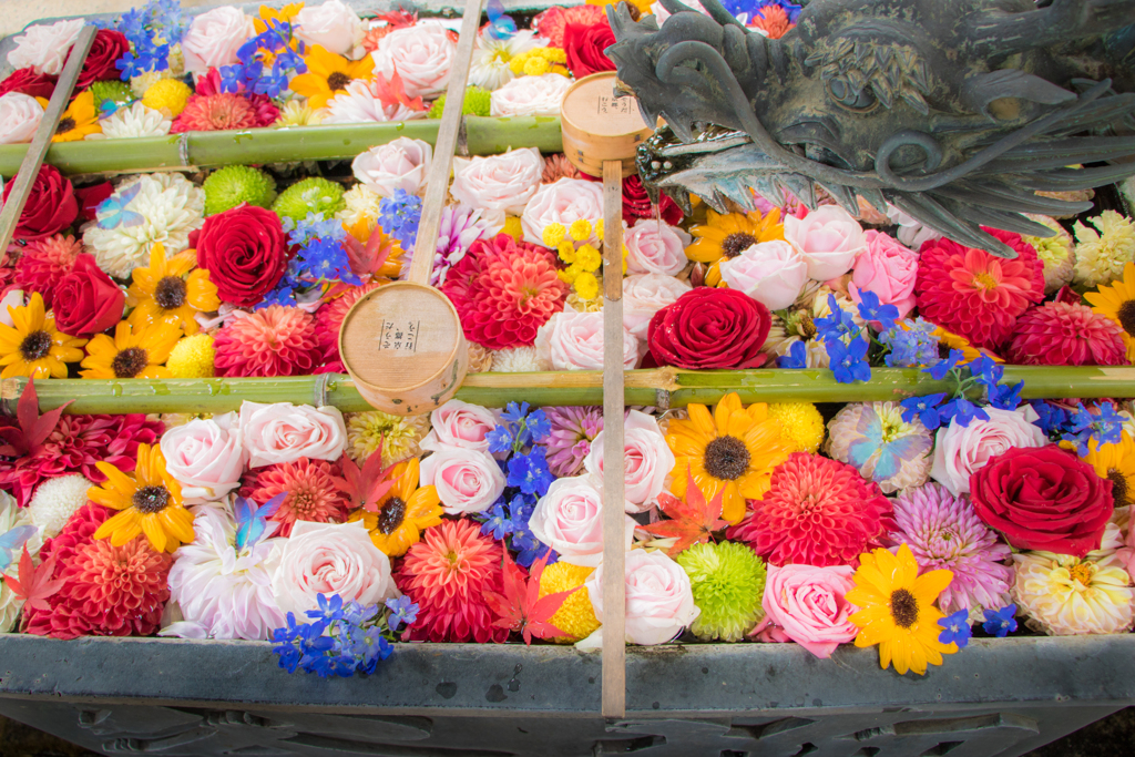 楊谷寺の花手水