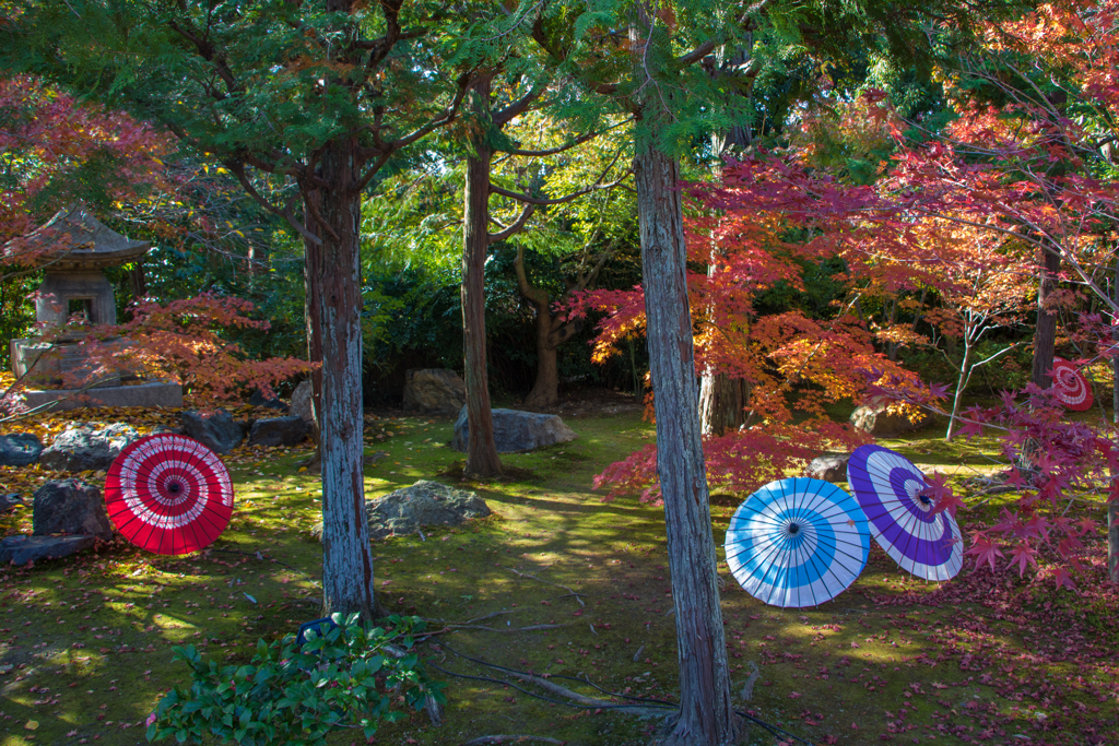 華やかな庭園