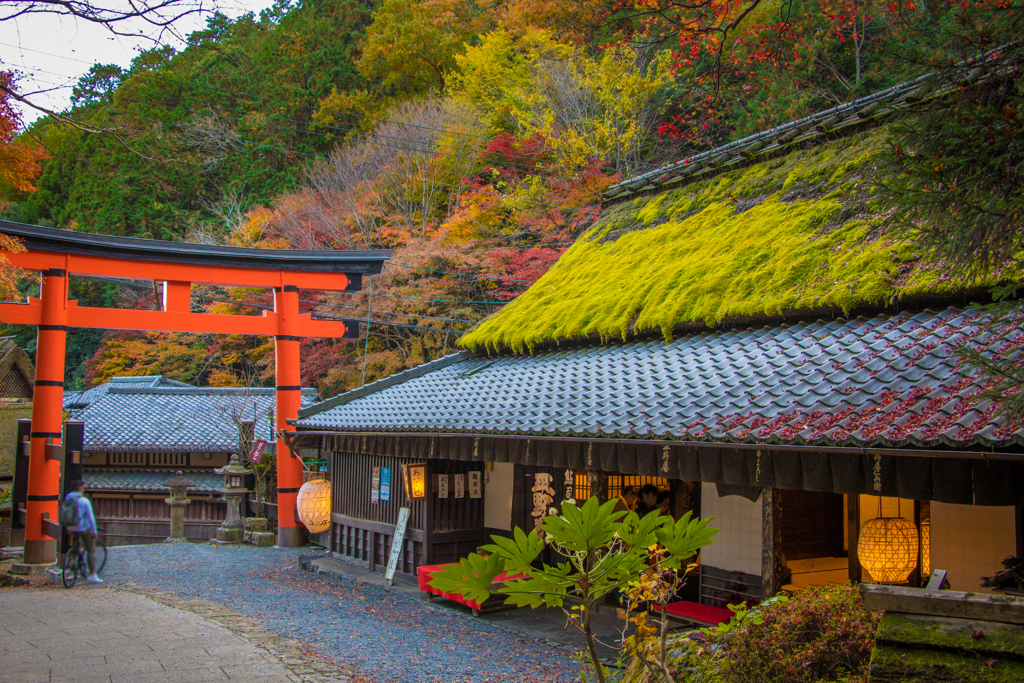 嵯峨鳥居本 平野屋さん