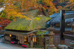 嵯峨鳥居本 つたやさん