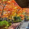 Ancient city of Japan.　Kyoto in autumn