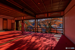 The arrival of autumn