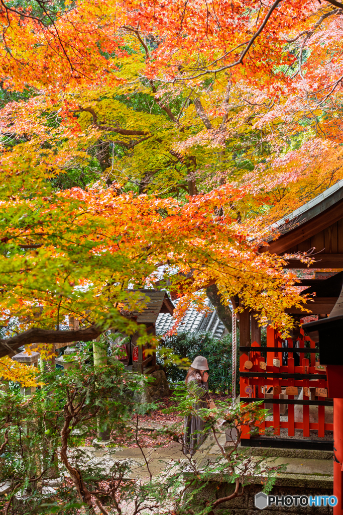  my thoughts on the autumn leaves