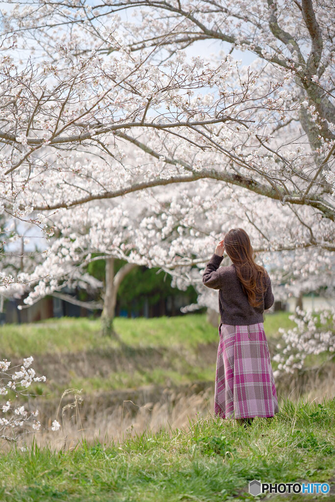 Spring breeze