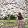 Spring breeze