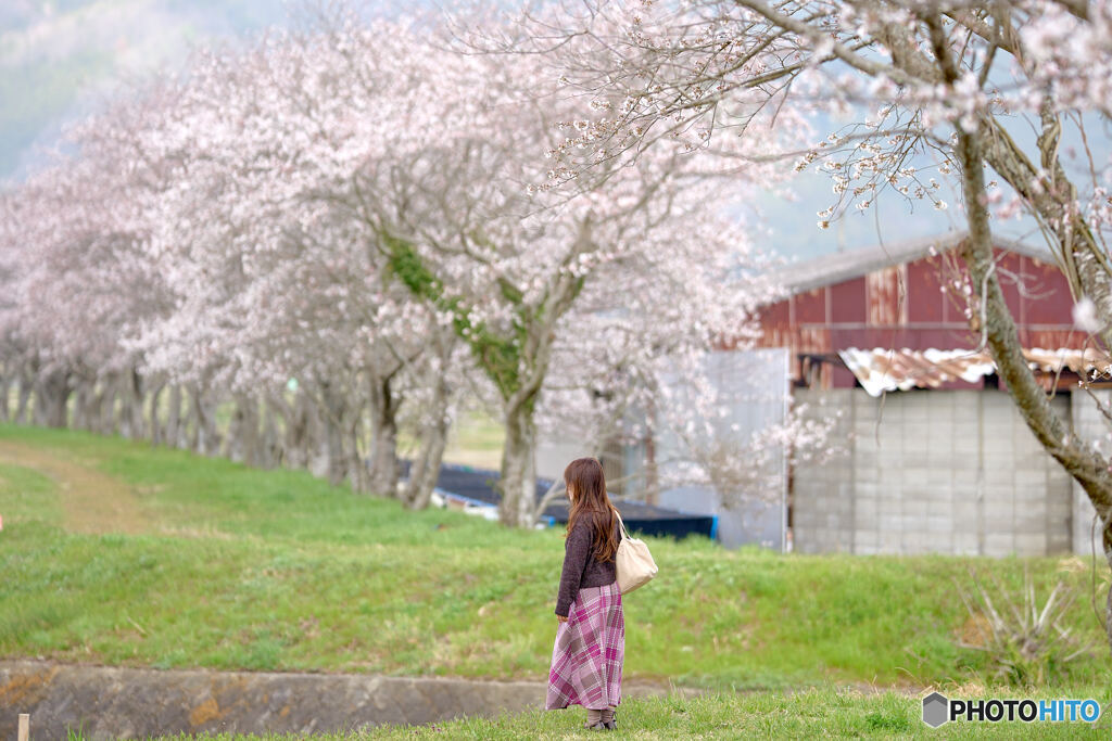 Spring breeze