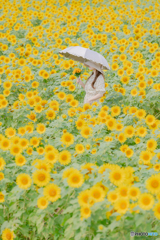 You sleeping on the yellow bed.