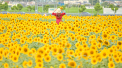 夏の思い出