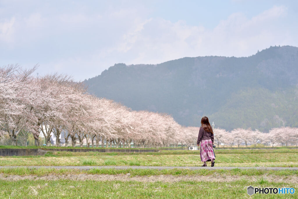 Spring-like