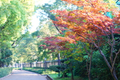 長居公園