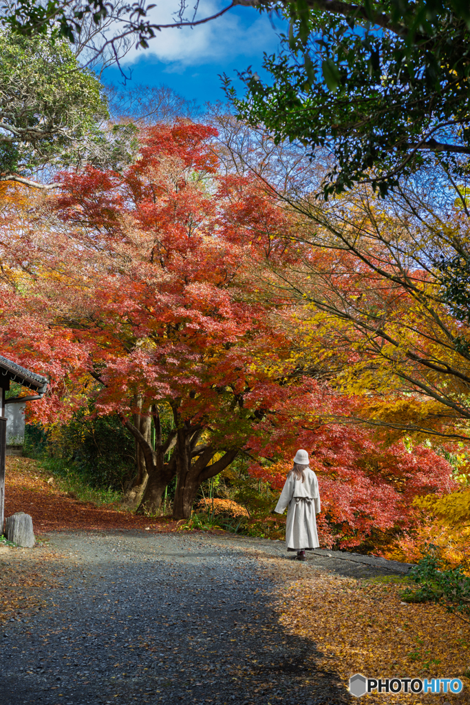 Autumn continues to be remembered