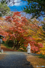 Autumn continues to be remembered