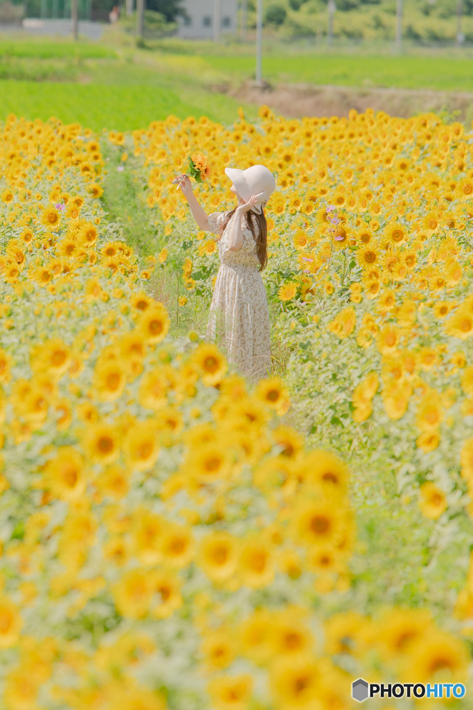 You are an attractive sun.