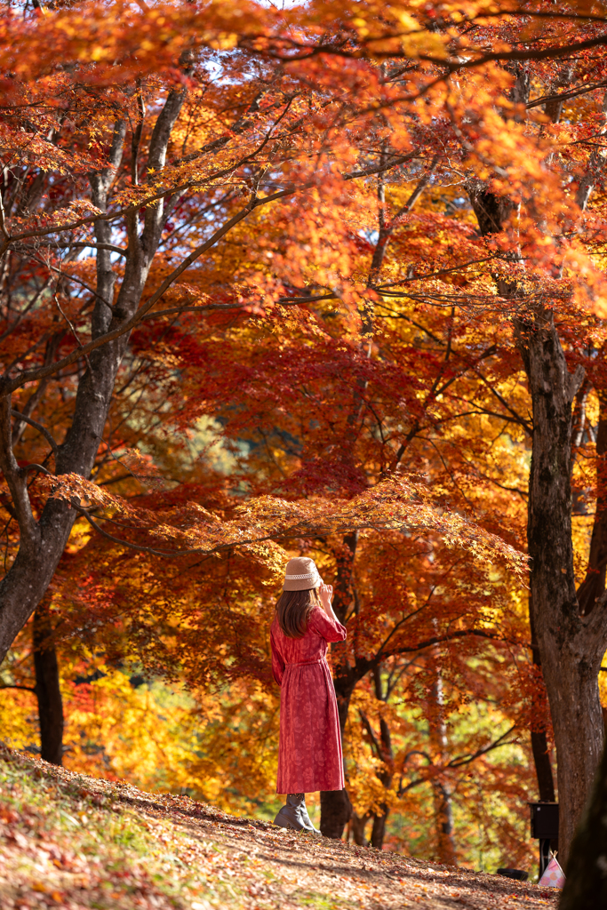 If only we had met earlier