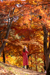 If only we had met earlier