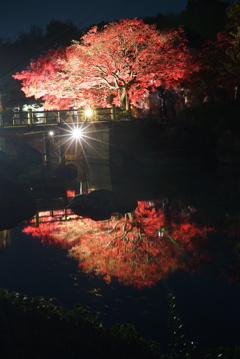 大仙公園日本庭園