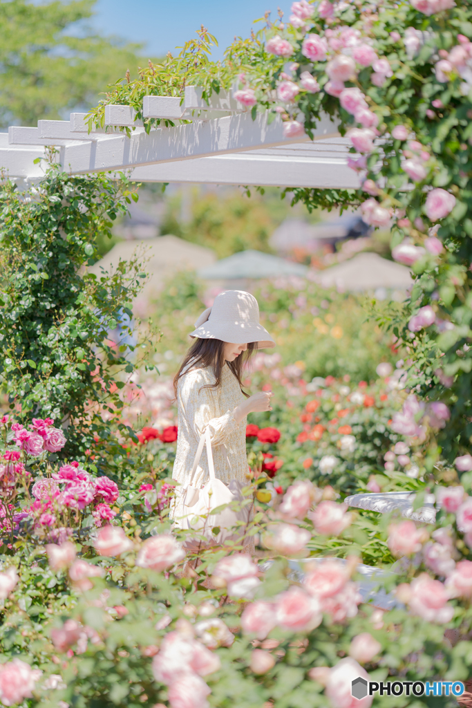 開花中 Flower decoration by hanatocafeto （ID：13512652） - 写真共有