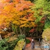 Autumn foliage tour