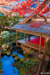 The Silence of the Ancient City