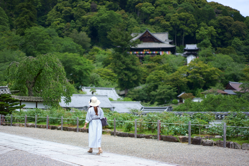 長谷寺