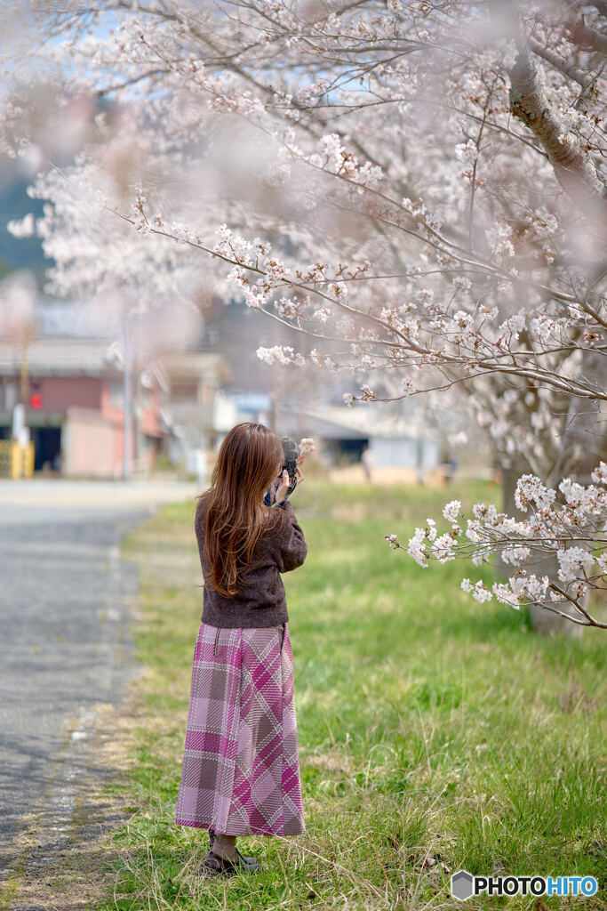 The true identity of the spring 
