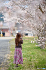 The true identity of the spring 